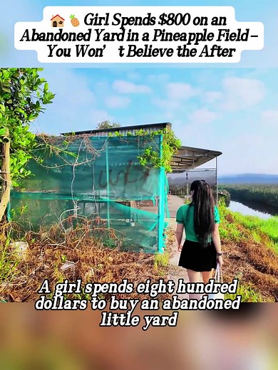 Abandoned Pineapple Field Cleanup: Before & After Yard Rescue