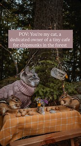 Another day at #FifiSChipmunkCafe 😮‍💨 Fifi loves her job serving chipmunks at her tiny outdoor café in the Maine woods, but sometimes, she feels underappreciated. Running a chipmunk café is no joke. There’s the morning rush when the chipmunks arrive looking for peanuts, managing multiple customers at the tiny picnic table, keeping the fairy lights working, and making sure everyone gets their snacks. Fifi takes her job very seriously. This footage is from last summer at my family’s property in 