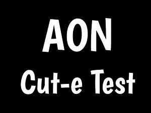 Aon Cut-e Test | Cut-e/Aon | Cut-e Scales | Numerical & Verbal Reasoning Test |