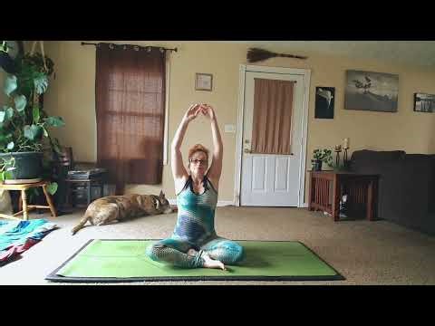 First Steps on the Mat: A Simple Yoga Flow