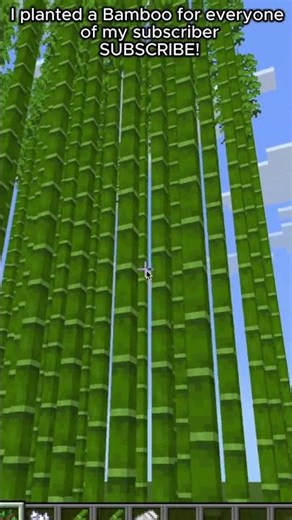 I planted a bamboo for everyone of my subscribers