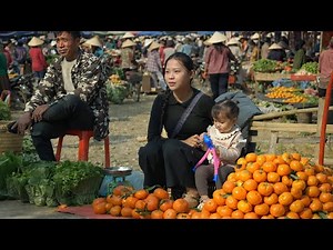 A day in the life of a single mother - Harvesting oranges to take to the market.