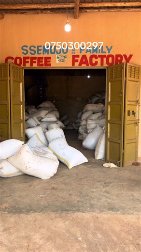 Ssemujju coffee factory and maize millers