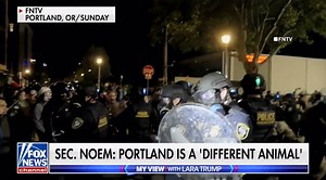 220K views · 17K reactions | DHS, under President Trump, will NOT ALLOW domestic terrorists to overrun our cities. We will bust their networks and bring every one of them to justice. | Secretary Kristi Noem | Facebook