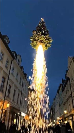 Rocket Tree: When Cats Discover Launch Mode 🚀🎄 #funnyanimals #cat #ai