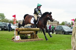 ‘When he first saw a pole, he melted’: How a New Forest went from terrified jumper to Badminton and HOYS winner - Horse & Hound