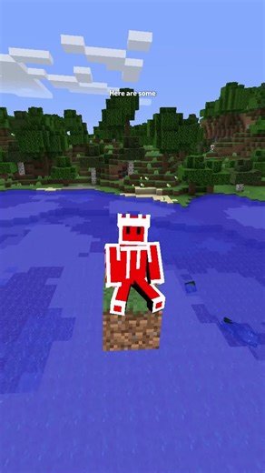 Exploring Different World Types in Minecraft