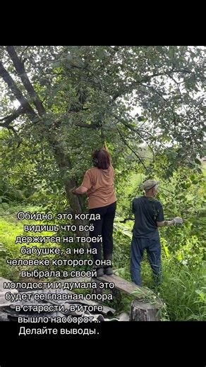 Cherry Picking Season: A Fruitful Adventure