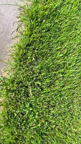 Sprinkler heads are not popping up all the way