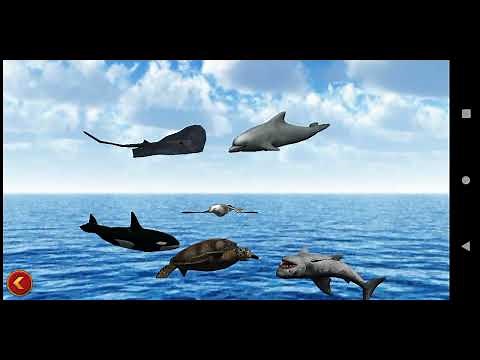 Octopus Simulator Full Gameplay