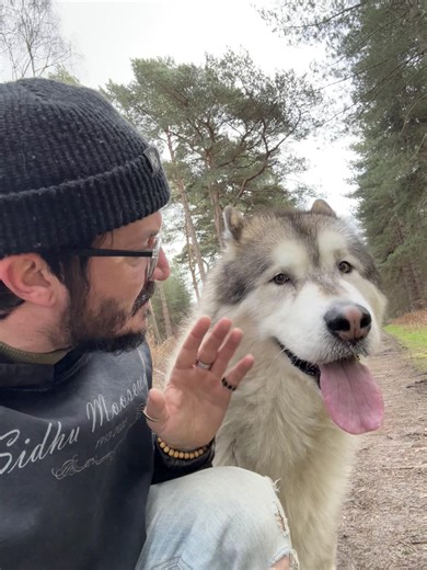 Calming Down Your Dog: Tips and Tricks