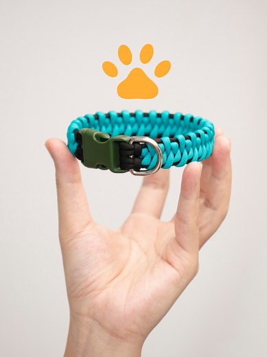 DIY Paracord Dog Collar: Cute and Customizable