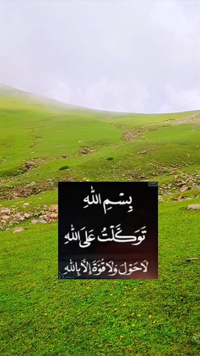 Mesmerizing view of marg top | Nature Explore