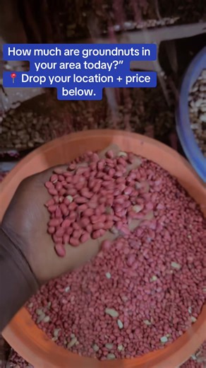 Current Groundnuts Prices in Uganda