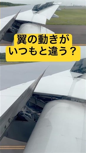 【実写】航空マニアなら分かる？！着陸後の翼の動きがいつもと違う？ #飛行機 #航空雑学 #ANA #新千歳空港 #パイロット #shorts