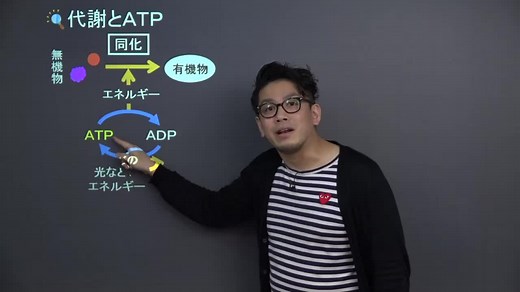 5分でわかる、「代謝とATP」の映像授業 | 映像授業のTry IT (トライイット)
