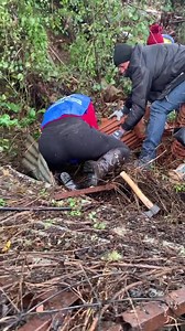 Angeli blu Oipa Napoli in soccorso di cuccioli in pericolo di vita incastrati nei rovi e nelle lamiere 😫 Vi aggiorniamo Per informazioni e per sostenere le attività della sezione OIPA di Napoli e provincia: http://www.oipa.org/italia/napoli | OIPA Napoli e Provincia