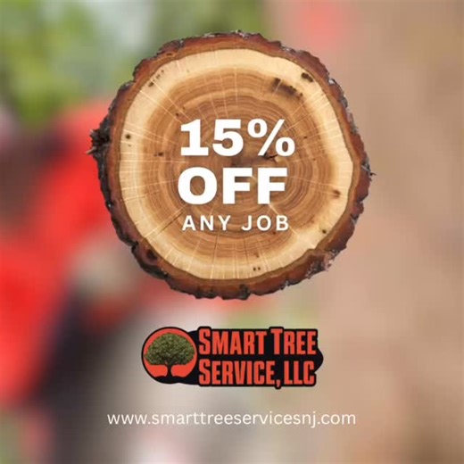 Smart tree service south Jersey #No1 tree service #smarttreeservice #southjerseytreeservice #treeremoval #stumpgrinding #willingboronj | Smart Tree Service LLC | Facebook