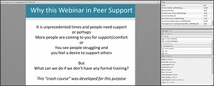 Peer Support 101 In Challenging Times