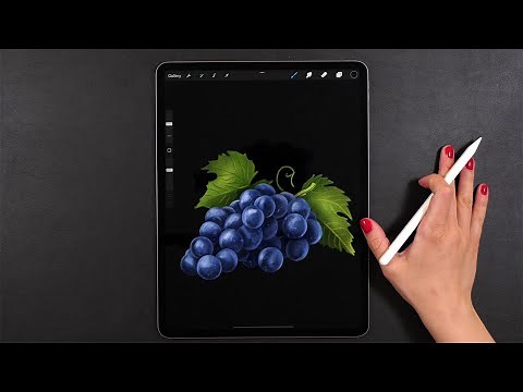 Step by Step Draw With Me - a Realistic Procreate Drawing Process