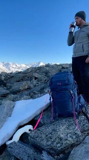 💰 Unbelievable! Shocking Ermine Tries to Kidnap Backpack Strap #ermine #wildlife #thief #alpineHigh in the frozen, majestic Alps, a hiker takes a much-needed water break (the setup). Standing on a rocky outcrop with a stunning view of snow-covered peaks, he is unaware of the tiny, tenacious creature focused on his gear. The **conflict** is the fierce, possessive instinct of the Ermine against the sheer size of the human's equipment. A beautiful, white Ermine, still sporting a dark tail tip, eme