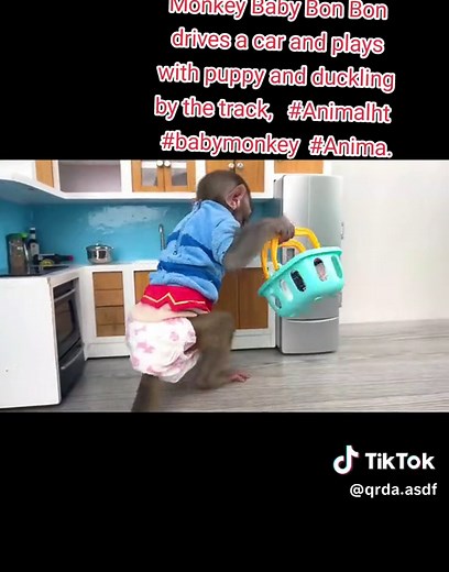 Monkey Baby Bon Bon Car Race with Puppy and Duckling