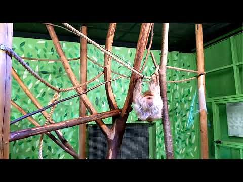 Day Out At Amazon World Zoo Park, Isle Of Wight