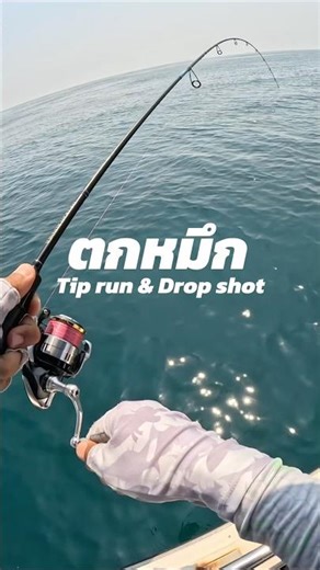 Squid fishing: Tip run & Drop shot methods #jojotackle #dropshot #tiprun #squidfishing #tiprun #e...