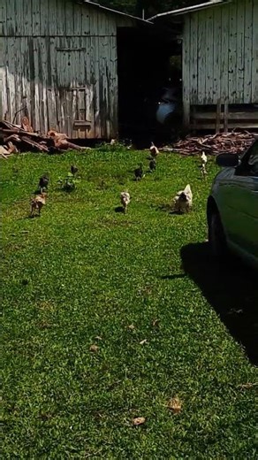 for ‪@windows-11-lol‬ (Chevy tracker lock horn)