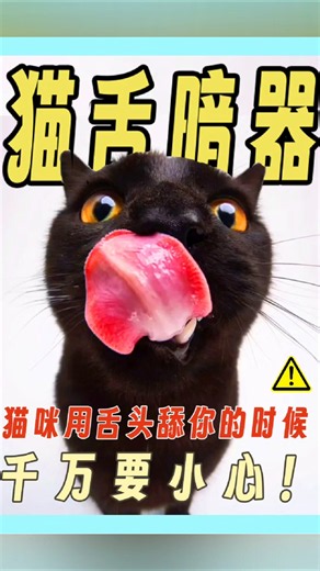 你是否被猫咪🐱舔到崩溃？千万别嫌弃，猫咪舌头原来暗藏看病玄机！ #宠物科普 #cat #貓咪日常 #pets #貓咪 #萌寵 #cute #萌宠 #寵物