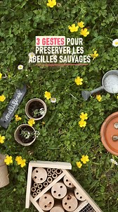 136 reactions · 21 shares |  Planter des fleurs mellifères, installer un point d’eau et offrir un abri : 3 gestes simplissimes pour aider les abeilles sauvages  Alors vous aussi, aidez à la préservation des insectes pollinisateurs en appliquant ces gestes chez vous : dans votre jardin, sur votre balcon, ou même dans votre ville ! #pinklady #pommepinklady #abeillesauvage #osmies #protegeonslesabeilles #pollinisation | Pink Lady Europe | Facebook