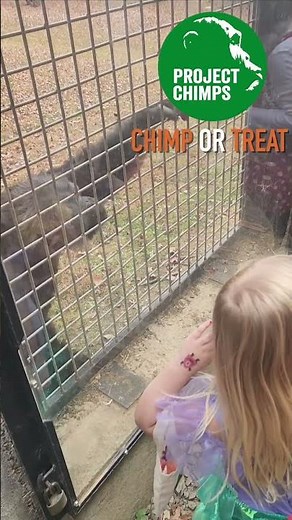Hercules gives the kids a show during CHIMP OR TREAT!