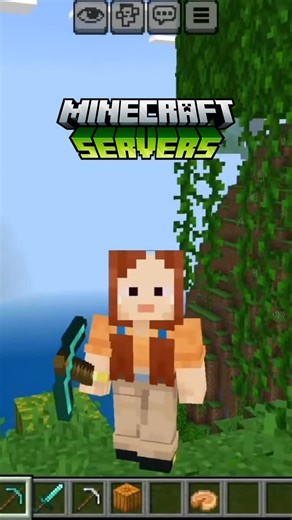 Best Minecraft Public Server For PE/Java 2025