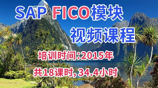 SAP FICO 初级财务视频课程