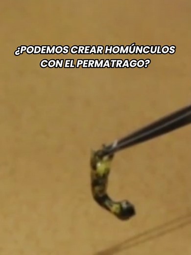 Cómo crear un homúnculo real en biología