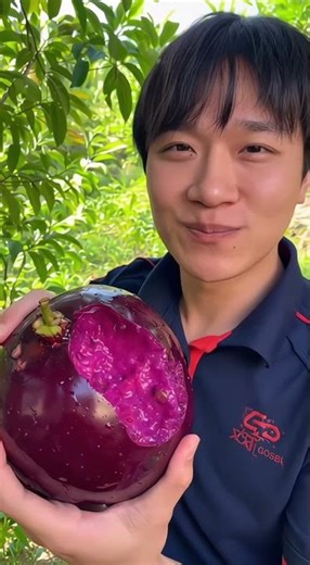 A giant sim fruit never seen before! #vietnameseagriculturalproducts #youtubetrends