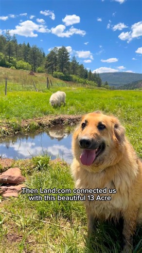 We found our Dream Property Thanks to Land.com 🏔️