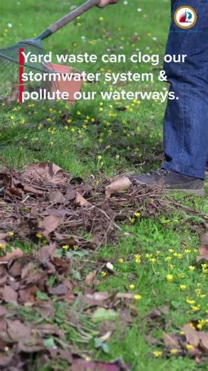 Proper yard waste disposal helps prevent flooding and keep our waterways clean! Leaves, grass, branches & palm fronds belong unbagged in your green cart, not near storm drains. Spot debris? Report it! Call 954-828-8000 or use FixItFTL. Check your yard waste collection schedule at 🔗 https://ftlcity.info/collection | City of Fort Lauderdale