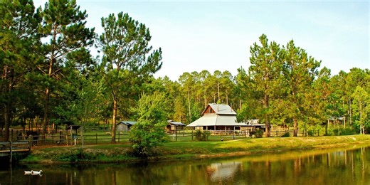 Parking passes at Georgia state parks increasing for first time in 16 years