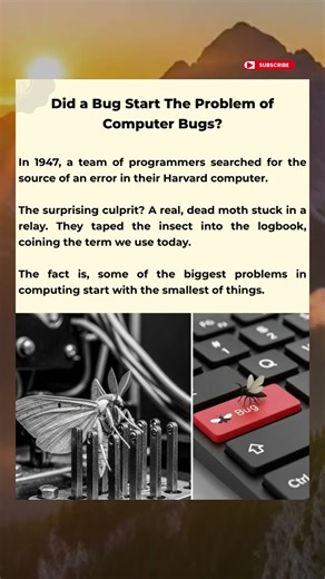 Did a Bug Start The Problem of Computer Bugs?