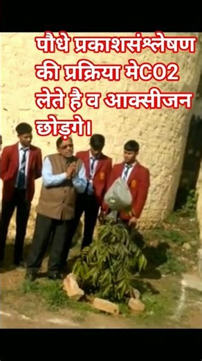 Plant takes Co2 and Release O2 During Photosynthesis.