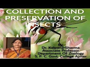 Insects: Collection and Preservation - Dr. Kalpana Sharma.