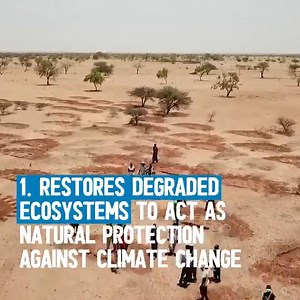 3.5K views · 159 reactions | Climate change is a humanitarian issue. WFP is at #COP26 advocating for vulnerable people living in some of the most fragile environments in the world, whose food security is threatened by the climate crisis. | World Food Programme | Facebook