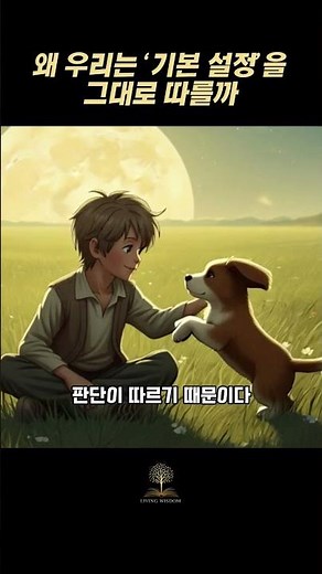 왜 우리는 ‘기본 설정’을 그대로 따를까 l 기본값 효과의 심리