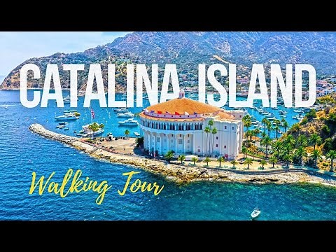 🚶‍♂️Discovering CATALINA ISLAND 🏖️ A scenic walking tour of Avalon, California