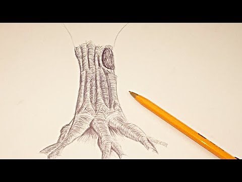 Como DIBUJAR UN ÁRBOL REALISTA Paso a paso PARTE 1