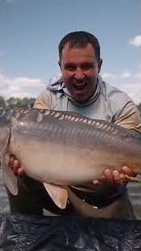 📸 How to take a picture with a carp without harming it