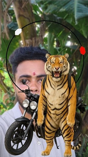 Tiger 🐅 puzzle 🧩 game 🎯 #tiger #puzzle #game #challenge #fb #fbreelsfypシ゚ #fbreelsfypシ゚viralシ #viral #viralreelsシ | Facts Mind 99