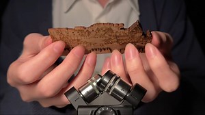 【tabi_助眠】深入大脑…😌各种磁铁敲击