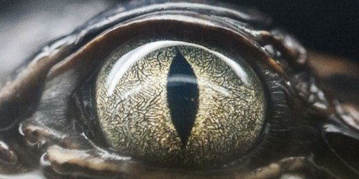 Joji Releases New Single 'Glimpse of Us'